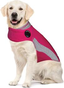 img 4 attached to 🐶 Снижение тревоги у собак: Раскрепощенная собачья куртка Thundershirt для снятия тревоги