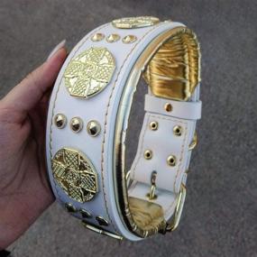 img 3 attached to 🐶 Premium Genuine Leather Dog Collar for Large Breeds - Bestia Maximus, Cane Corso, Rottweiler, Boxer, Bully, Bullmastiff - 100% Leather, Studded, Padded, M-XXL Size, 2.5 inch Wide, White & Gold