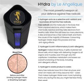 img 1 attached to 🧬 Le Angelique 2021 Hydra: Hydrogen Rich Water Bottle Generator and Gas Inhaler - High Concentration Molecular H2 Maker with PEM Membrane & SPE Technology Ionizer, USB Rechargeable