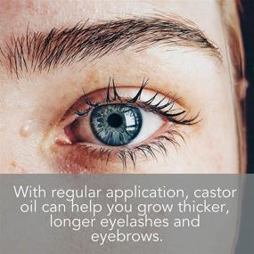 img 3 attached to 🍃 Pure Body Naturals Organic Castor Oil - Eyelash and Eyebrow Growth Serum with Applicator Kit, 1 Ounce - Varying Labels