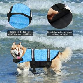 img 1 attached to 🐶 Ultimate Dog Life Jacket: High Buoyancy Dog Safety Vest for Swimming and Boating with Durable Rescue Handle - Suitable for Small, Medium, and Large Dogs