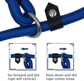 img 2 attached to HDY Durable Dog Slip Leash Rope: 4.5 FT Training Leash for Small to Medium Dogs (10-80 lb)