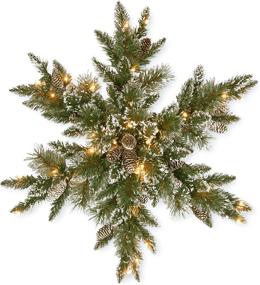 img 4 attached to 🎄 National Tree Company Green Glittery Bristle Pine Star Wreath - Pre-Lit, 32 Inches, White Lights, Pine Cones, Frosted Branches - Christmas Collection