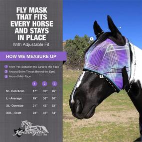 img 2 attached to 🐴 Protect Your Horse with the Kensington Average Signature Fly Mask with Web Trim