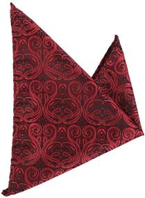 img 1 attached to Epoint CB AQ 👔 P018 Paisley Men's Microfiber Necktie