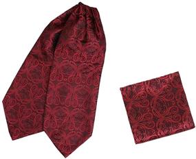 img 4 attached to Epoint CB AQ 👔 P018 Paisley Men's Microfiber Necktie