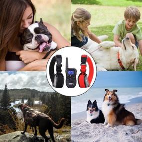 img 3 attached to 🐶 Exuby Dual Shock Collar for Small Dogs - Train and Control Two Dogs Simultaneously with 1 Remote, 2 Receivers, and 4 Straps - Multi Modes - Rechargeable Batteries - Ideal for Discipline and Training