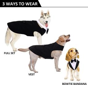 img 3 attached to DORA BRIDAL Formal Dog Tuxedo: Medium-Large Labrador Wedding Suit Outfit with Detachable Bowtie Collar - Handsome, Elegant Cosplay for Pet Parties, Halloween