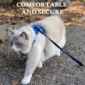 img 3 attached to 🐾 No Pull Dog Cat Harness for Small Dogs and Cats with Reflective Leash - Comfortable Mesh Pet Vest for Small to Medium Pets - Adjustable and Padded Oxford Vest for Safety and Control