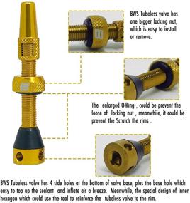 img 3 attached to 🚴 BWSHLF Tubeless Presta Valve Stem Kit - 40mm / 44mm, Super Lightweight Alloy, Includes Value Core Remover Tool and Valve Stem Caps - Multiple Color and Size Choices (Pair)