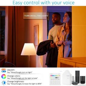 img 3 attached to Enhance Your Space with Recessed Downlight Compatible Assistant Inch 4PACK