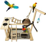 🐦 wooden parrot playground bird playstand with feeder cups, toys, and ladder - ideal for cockatiel, conure, lovebirds, and hamiledyi nest logo