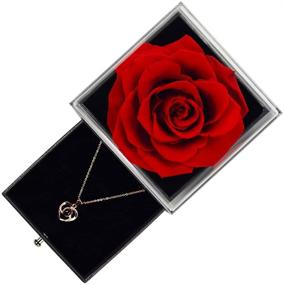img 3 attached to 💖 Enchanting Preserved Rose with 'Love You' Necklace: A Romantic Valentine's Day Gift for Her