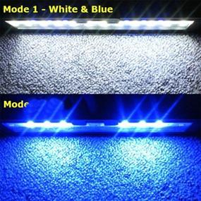 img 3 attached to 🐠 Hygger 9.7 Inches LED Aquarium Light with Blue and White LEDs - Clip on, Ideal for Planted Saltwater and Freshwater Fish Tanks, Gooseneck Clamp, 13W