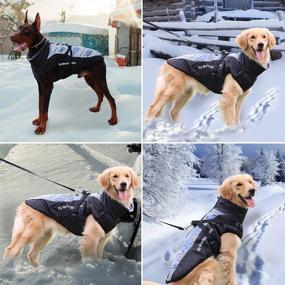 img 3 attached to Waterproof Windproof Reflective Dog Winter Jacket with Harness, Warm Furry Collar & Zipper for Medium Large Dogs – Doglay Dog Coat for Hiking Camping and Outdoor Activities