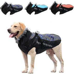 img 4 attached to Waterproof Windproof Reflective Dog Winter Jacket with Harness, Warm Furry Collar & Zipper for Medium Large Dogs – Doglay Dog Coat for Hiking Camping and Outdoor Activities