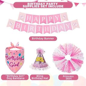 img 2 attached to 🐶 Cute Pink Dog Birthday Party Supplies Set for Small Medium Dogs and Puppies - Dog Birthday Bandana for Girls with Birthday Hat, Banner, and Princess Skirt