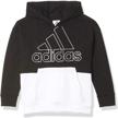 adidas hooded pullover sweatshirt colorblock logo