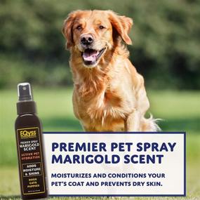 img 3 attached to 🐶 Eqyss Premier Pet Spray Marigold Scent 4 oz: Natural Refreshment for Your Beloved Pets