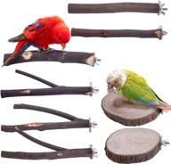 deloky 8 pcs natural wood bird perch stand- premium parrot perch stand set- cage accessories for parrotlets, budgies, cockatiels, parakeets, and lovebirds logo