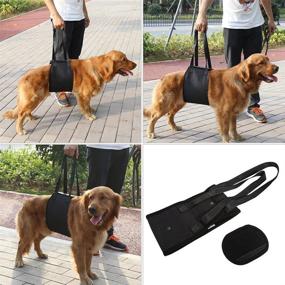 img 1 attached to 🐾 XL Yosoo Sling Dog Lift Support - Canine Aid Rehabilitation Harness with Handle for Elderly and Sick Pets