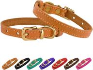 🐱 adjustable leather cat collar for small pets - bronzedog kitten collar in multiple colors: black, brown, pink, purple, red, and turquoise logo