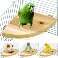 🐦 borangs wooden perch bird platform for parrots - small animal cage accessories for rats, hamsters, gerbils, mice, lovebirds, finches, conures, budgies - exercise toy - 7 inches logo