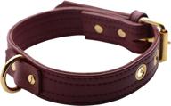 strict leather luxury burgundy locking logo