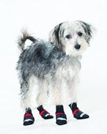 👠 xxs red fashion pet extreme boots логотип