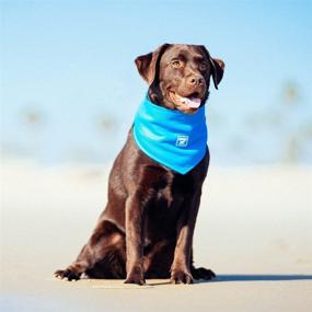 img 1 attached to Optimized Search: Canada Pooch Cooling Bandana for Dogs - Triangle Summer Scarf, Ideal for Small, Medium, Large Breeds (L, Blue)