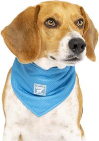 img 3 attached to Optimized Search: Canada Pooch Cooling Bandana for Dogs - Triangle Summer Scarf, Ideal for Small, Medium, Large Breeds (L, Blue)