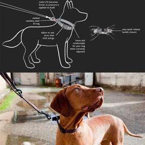 img 3 attached to 🐶 EzyDog Checkmate Martingale-Style Dog Training and Correction Collar