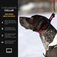 🐶 ezydog checkmate martingale-style dog training and correction collar логотип