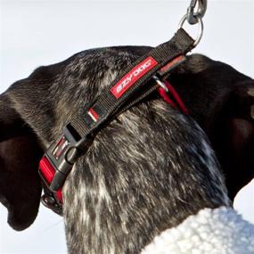 img 2 attached to 🐶 EzyDog Checkmate Martingale-Style Dog Training and Correction Collar