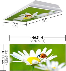 img 3 attached to 🔆 Octo Lights Fluorescent Light Covers: Relieve Eyestrain and Headaches in Classroom Offices, Reduce Glare and Industrial Electrical Hazards