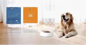 img 1 attached to 🐾 Enhanced PETKIT P2 Smart Activity Monitoring Pet Tracker: Track and Monitor Your Pet's Health and Safety