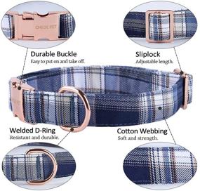 img 2 attached to 🐶 Soft & Comfy Bowtie Dog Collar - Cute Plaid Pet Gift for Dogs, Adjustable Collar for Small Medium Large Dogs (M, Blue Grid) - Chede