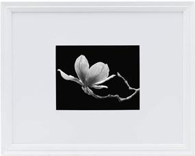 img 3 attached to 🖼️ Versatile Studio Nova Picture Frame: Display 8 x 10 or 16 x 20 Photos in White, Mat or No Mat Option Available