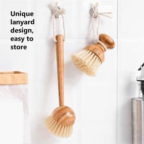 img 3 attached to 🧼 The Ultimate Dish Brush 2-Pack: Wooden Handle Scrub Brush Cleaner for Effortless Kitchen Cleaning - Ideal for Pots, Pans, Plates, Vegetables, and Fruits