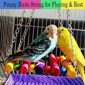 img 1 attached to 🐦 Wooden Hanging Bell Bird Cage Toys for Parakeets, Cockatiels, Parrots, and Conures - ESRISE Natural Wood Swing, Climbing Ladders, Perch, Mirror, Chewing Toy for Love Birds