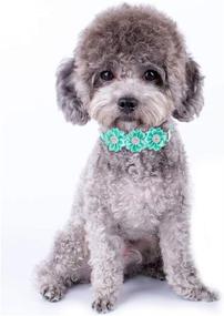 img 2 attached to 🌸 Masue Pets 15pcs/Pack Dog Bow Tie Flower Collar Diamond Accessories for Small Dogs and Cats - Pet Flower Bows, Puppy Bowtie Collar, Fashionable Pet Bowties, and Pet Supplies