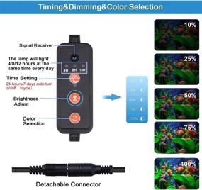 img 2 attached to 🐠 Submersible LED Aquarium Light for Fish Tank with Timer & Remote Control - Customizable 13 Colors, 5 Levels Brightness, 24/7 RGB Cycle - 6 LEDs - 7.5 inches