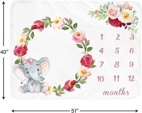 img 1 attached to 👶 Capturing Precious Moments: Baby Monthly Milestone Blanket for Girls | Perfect Addition to Kids' Home Store and Nursery Bedding