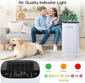 img 1 attached to 🌬️ Large Room Air Purifier, H13 True HEPA Filter, Odor Eliminator, 5 Stage Ionic Air Cleaner with Display, Auto Mode, Removes 99.97% Pollutants, Pet Dander