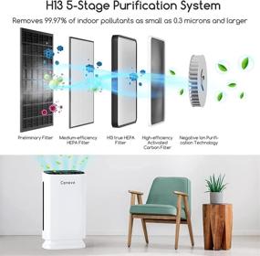 img 4 attached to 🌬️ Large Room Air Purifier, H13 True HEPA Filter, Odor Eliminator, 5 Stage Ionic Air Cleaner with Display, Auto Mode, Removes 99.97% Pollutants, Pet Dander