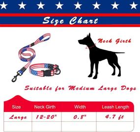 img 3 attached to Collar Leash Set Dogs Independence