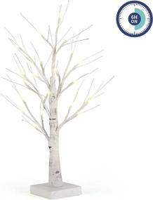 img 3 attached to 🌳 Monsense Artificial Branches Tree Decoration 24 Inch Pre-lit Birch Tree Light with Timer: Perfect Tabletop Home Decor Lighting