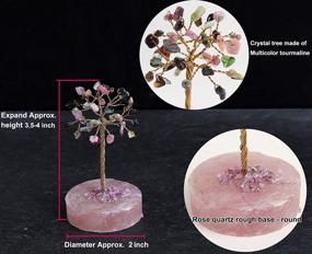 img 2 attached to 🌳 AMOYSTONE Feng Shui Crystal Tree Multi-Colorful Tourmaline Natural Round Rose Quartz Base - Enhance Life Luck with Small, Tall 3.5" Tree