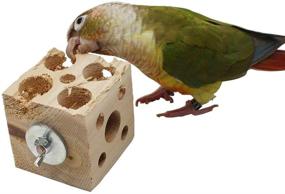 img 1 attached to QBLEEV Bird Wooden Block Chewing Toy: Tabletop Puzzle Foraging Toy for Parrots, Hamsters, Guinea Pigs, and More!