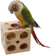 qbleev bird wooden block chewing toy: tabletop puzzle foraging toy for parrots, hamsters, guinea pigs, and more! logo